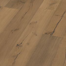 Oak No 34 - Highgrove